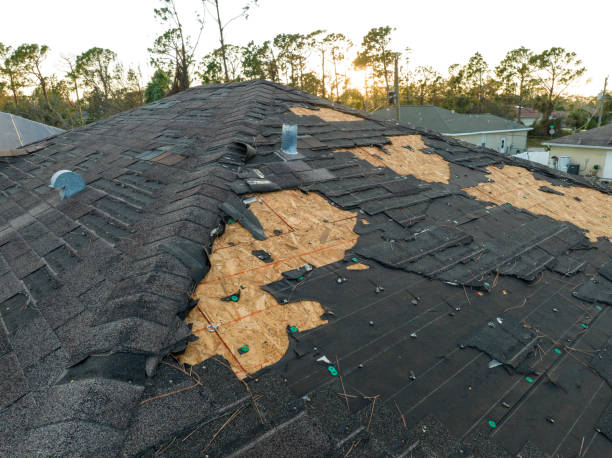 Best Roof Leak Repair  in Edcouch, TX