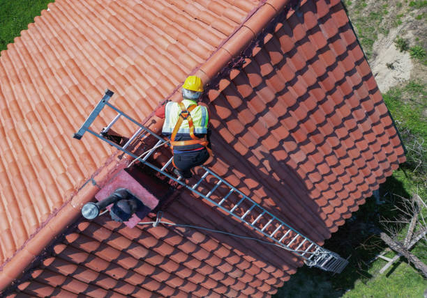 Best Emergency Roof Repair Services  in Edcouch, TX