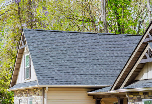 Best Metal Roofing Installation  in Edcouch, TX